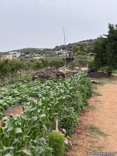 [εικόνα]